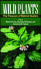 Wild Plants