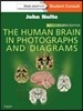The Human Brain in Photographs and Diagrams: With STUDENT CONSULT Online Access