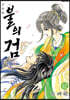 불의 검 신장판 12