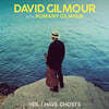 David Gilmour (데이비드 길모어) - Yes, I Have Ghosts [7인치 Vinyl]
