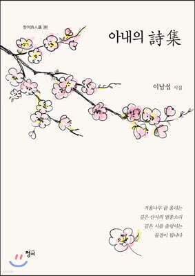 아내의 시집