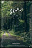 골로새서 산책