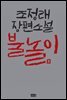 불놀이