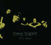 Limp Bizkit (림프 비즈킷) - My Way Part2 (Single)