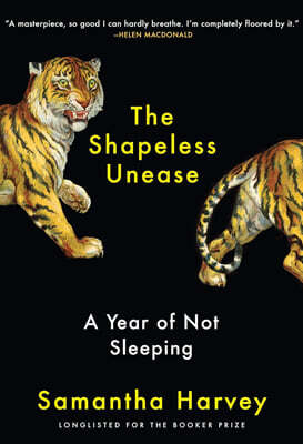 The Shapeless Unease: A Year of Not Sleeping