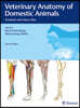 Veterinary Anatomy of Domestic Animals