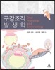 구강조직발생학