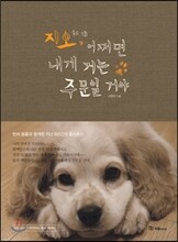지오, 어쩌면 내게 거는 주문일 거야