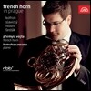Tomoko Sawano 프라하의 프렌치호른 (French Horn In Prague)
