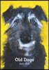 Old Dogs