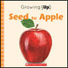 Seed to Apple (Growing Up)