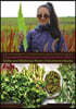 Yungcautnguuq Nunam Qainga Tamarmi/All the Land's Surface Is Medicine: Edible and Medicinal Plants of Southwest Alaska