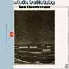 Alain Bellaiche (알랭 벨라이체) - Sea Fluorescent