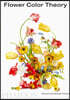 Flower Color Theory