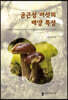 균근성 버섯의 배양 특성