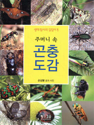 주머니 속 곤충 도감