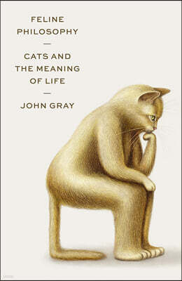 Feline Philosophy: Cats and the Meaning of Life