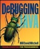 Debugging Java: Troubleshooting for Programmers