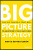 Big Picture Strategy
