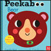 Peekaboo: Bear: (An Interactive Board Book for Babies & Toddlers with Mirror & Sliders to Push, Pull, or Turn. Cute Artwork Includes Ladybugs, Bunnies