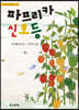 파프리카 신호등