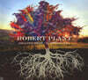 Robert Plant (로버트 플랜트) - Digging Deep: Subterranea