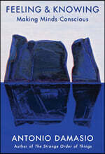 Feeling &amp; Knowing: Making Minds Conscious