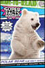 Polar Bear Fur Isn't White!: And Other Amazing Facts (Ready-To-Read Level 2)