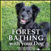 Forest Bathing with your Dog