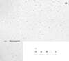 조동희 1집 - 비둘기 [재발매]