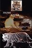 Tigers Under the Turf: A Life Disrupted by the Horrors of World War Two: The Struggle to Survive and Lead a Normal Life.