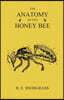 The Anatomy of the Honey Bee