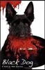 Black Dog