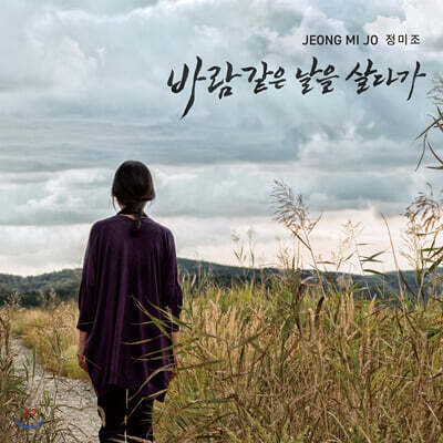 정미조 - 바람같은 날을 살다가
