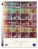 광음적고사 (1Disc)
