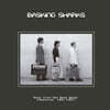 Basking Sharks (바스킹 샤크스) - Back from the deep water (Sharkive: 1981-1987) [LP]