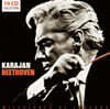 헤르베르트 폰 카라얀 베토벤 지휘 모음 (Herbert von Karajan - Beethoven Milestones)
