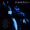Junior Wells - Blues Brothers (Colored Vinyl)(LP)