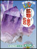 鑛物.岩石.化石 DVDつき
