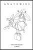 Anatomies