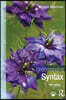 Understanding Syntax