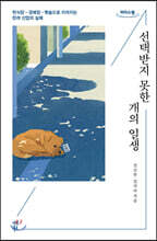 선택받지 못한 개의 일생 (큰글자도서)