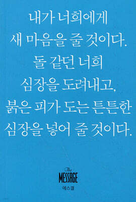 메시지 에스겔 (미니북)