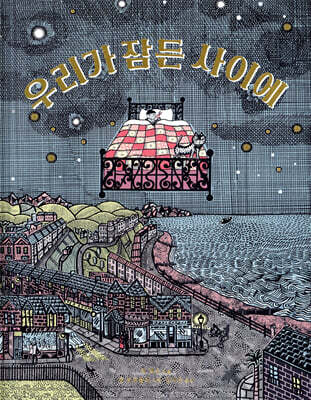 우리가 잠든 사이에