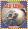 Sea Lions