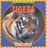 Tigers
