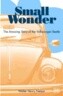 Small Wonder: The Amazing Story of the Volkswagen Beetle