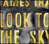 James Iha (제임스 이하) - 2집 Look To The Sky [LP]