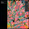 Foals (폴즈) - Collected Reworks [핑크 & 옐로우 & 그린 컬러 3LP]