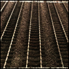 스티브 라이히: 서로 다른 기차들 & 일렉트릭 카운터포인트 (Steve Reich: Different Trains & Electric Counterpoint) (140g)(LP) - Kronos Quartet